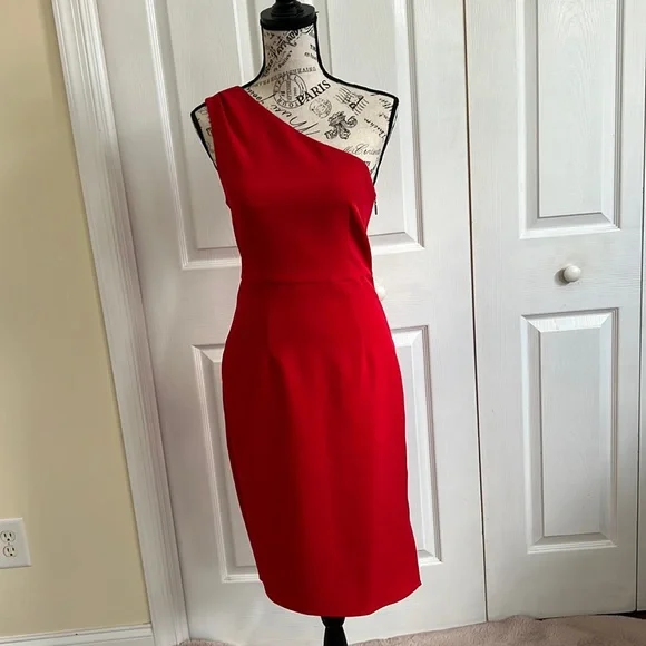 New w/tags Express Red dress with sexy side zipper. Size 2